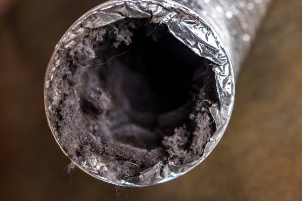 Best Affordable Duct Cleaning Services  in La Center, WA