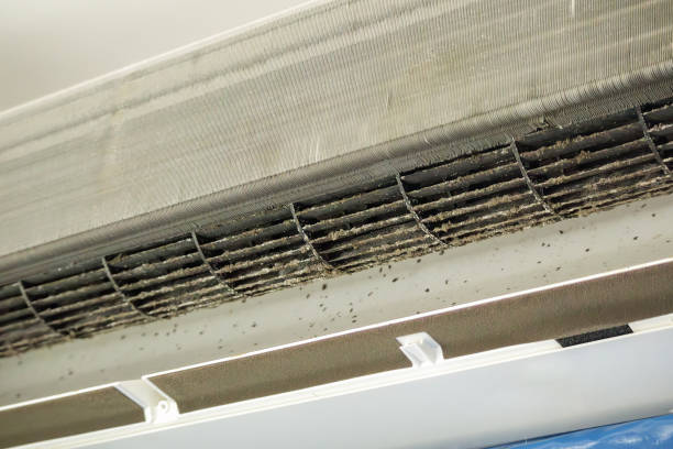 Best Emergency Air Duct Cleaning  in La Center, WA