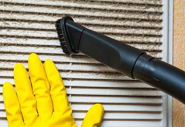 Best Air Duct Mold Removal  in La Center, WA